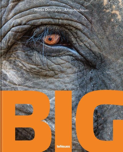 Big, A Photographic Album of the World's Largest Animals 9783961713851 Dimitrijevic NACHOUM