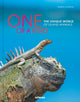 One of a Kind, The Unique World of Island Animals 9783961713905 NATURE PICTURE LIBRARY