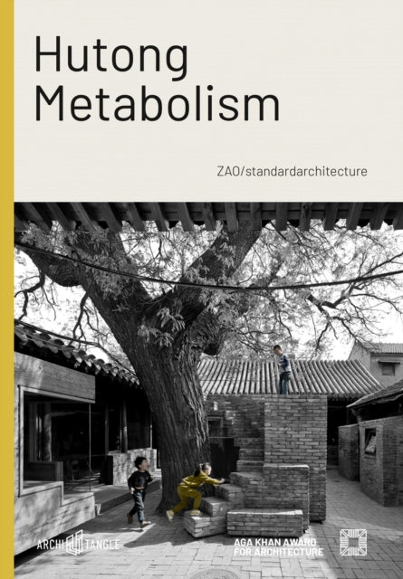 Book cover of: Hutong Metabolism. By: Farrokh Derakhshani
