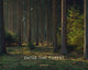 Book cover of: Enter the Forest. By: Alexandre Miguel Maia