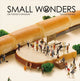 Small Wonders, Life Portrait in Miniature 9784865050776 Tatsuya Tanaka
