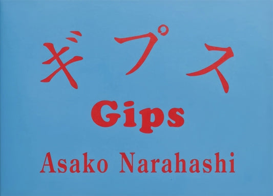 Book cover of: Gips
