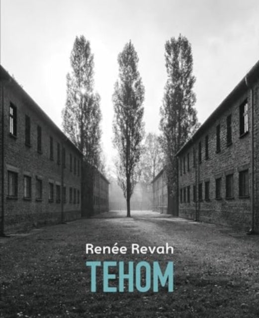 Book cover of: Tehom (Abyss)