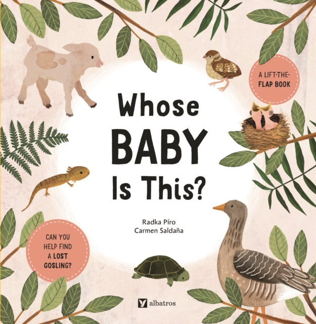 Book cover of: Whose Baby Is This?. By: Radka Piro