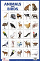 Book cover of: Animals & Birds