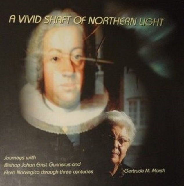 Book cover of: Vivid Shaft of Northern Light