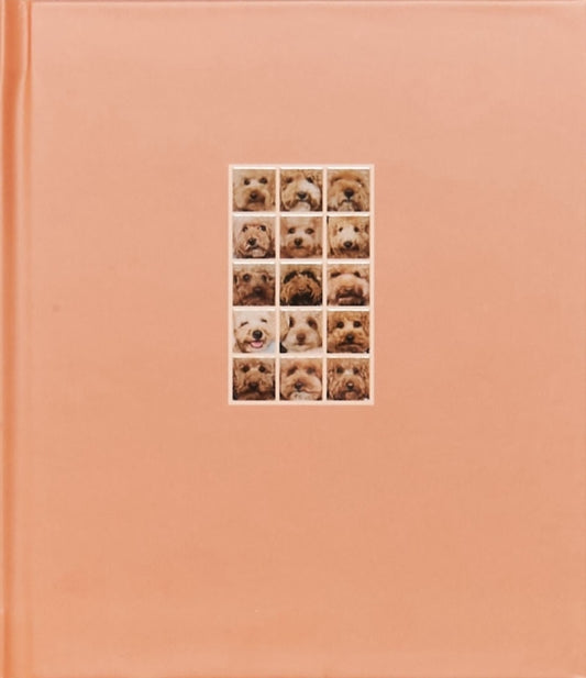 Book cover of: APRICOT POODLE