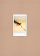 Book cover of: Siete punto ocho. By: Isadora Romero
