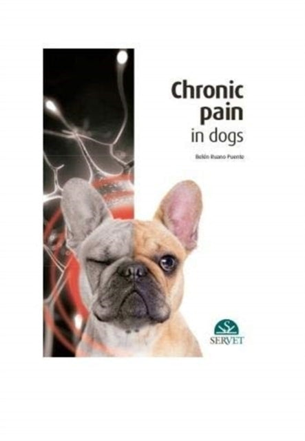 Book cover of: Chronic Pain in Dogs
