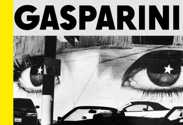 Book cover of: Gasparini: Field of Images. By: Paolo Gasparini