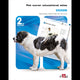 Book cover of: Pet Owner Educational Atlas: Dogs - 2nd edition