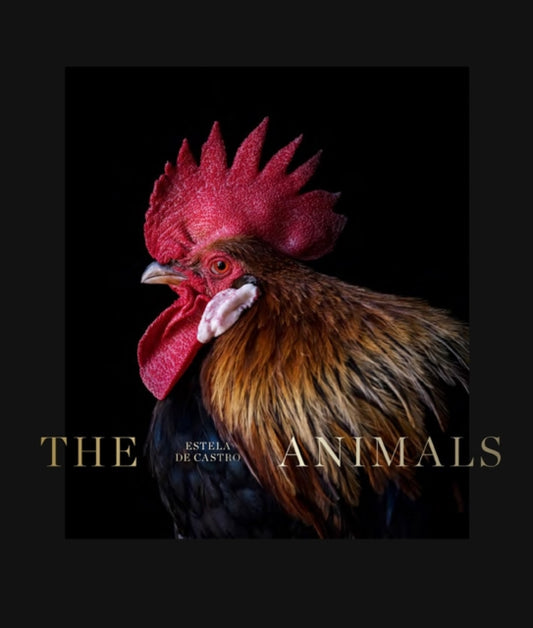 Book cover of: Animals. By: Estela de Castro