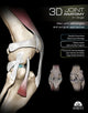 Book cover of: 3D Joint Anatomy in Dogs. Main joint pathologies and surgical approaches