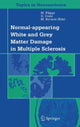 Book cover of: Normal-appearing White and Grey Matter Damage in Multiple Sclerosis