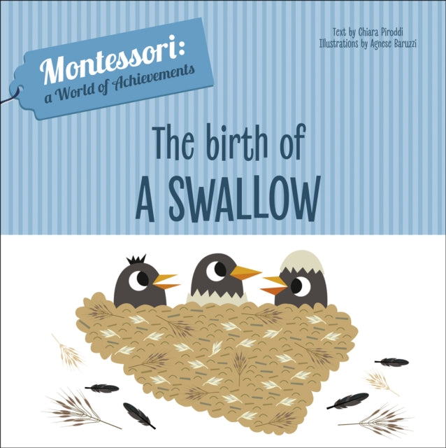 Book cover of: Birth of a Swallow. By: Chiara PIRODDI