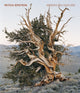 Book cover of: Mitch Epstein