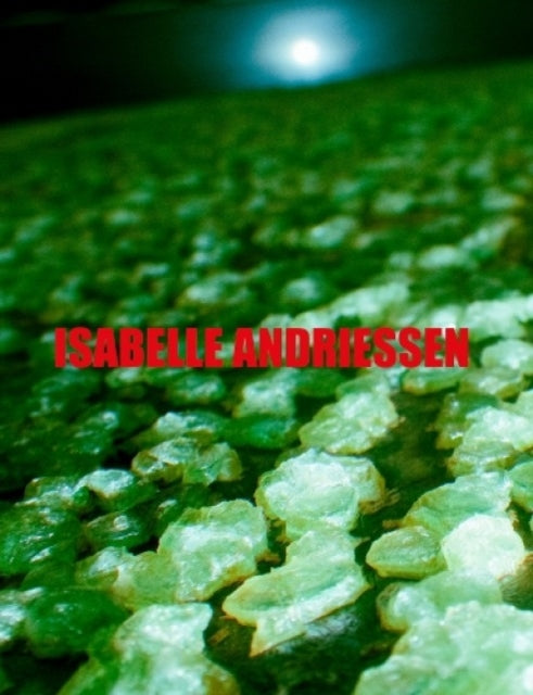 Book cover of: DORM. By: Isabelle Andriessen