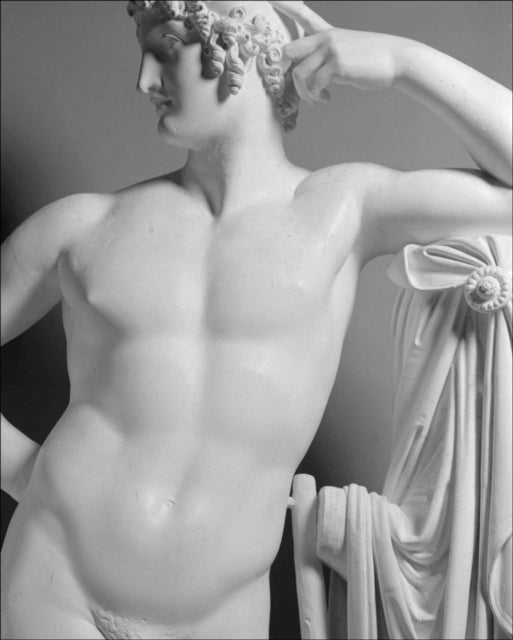 Book cover of: Canova. Four Tempos: Volume II. By: PALLAVICINO