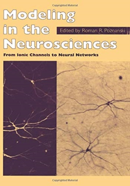 Book cover of: Modeling in the Neurosciences. By: R.R. Poznanski