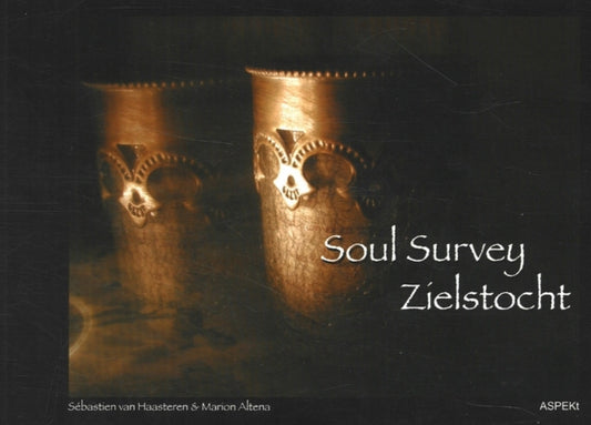 Book cover of: Soul Survey / Zielstocht