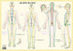 Book cover of: Qi Jing Ba Mai -- A2