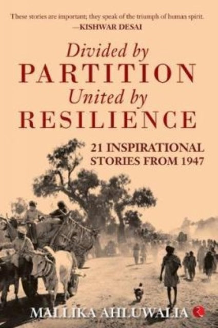 Divided by Partition