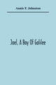 Book cover of: Joel, A Boy Of Galilee