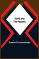 Book cover of: David And The Phoenix