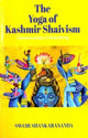 Book cover of: Consciousness is Everything