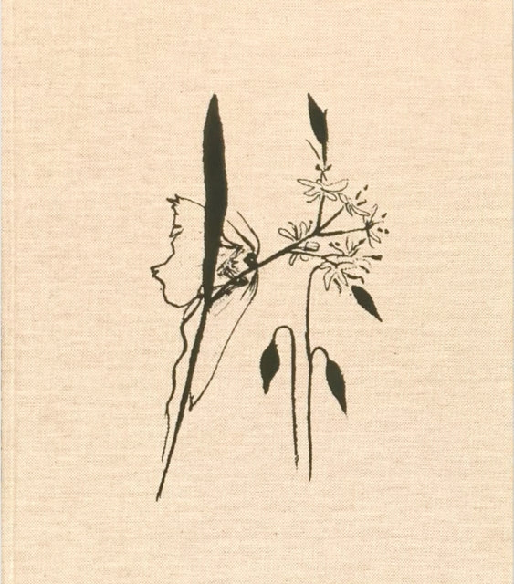 Book cover of: Refuge. By: Gasparotto MANCUSO