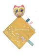 Book cover of: Little Owl