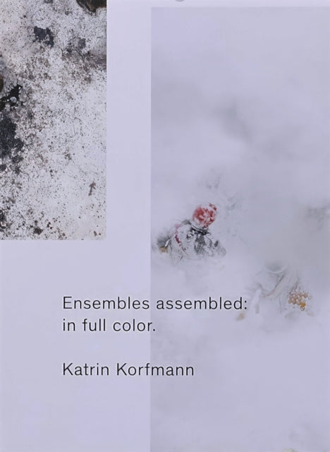 Book cover of: Ensembles Assembled: In Full Color. By: Katrin Korfmann
