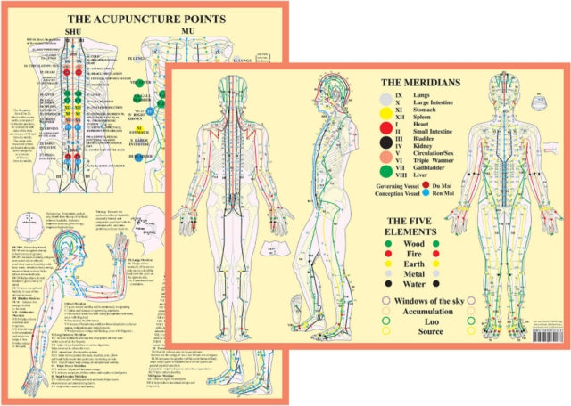 Book cover of: Meridians and 5 Elements