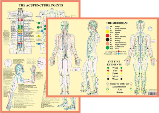 Book cover of: Meridians and 5 Elements