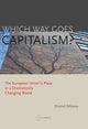 Book cover of: Which Way Goes Capitalism?. By: Daniel Daianu