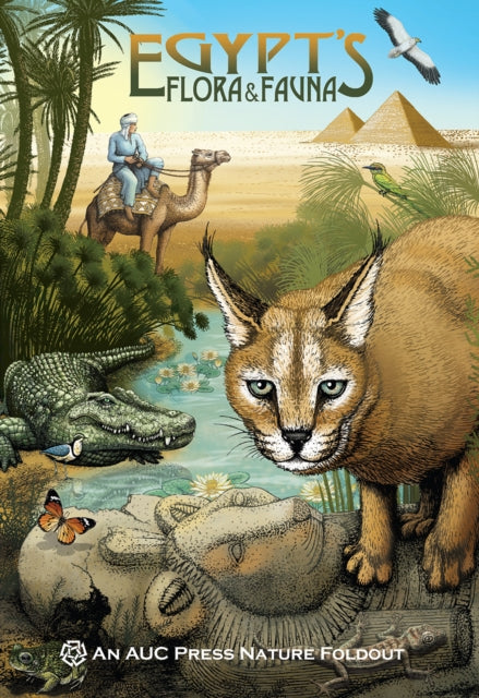 Book cover of: Egypt's Flora & Fauna. By: Dominique Navarro