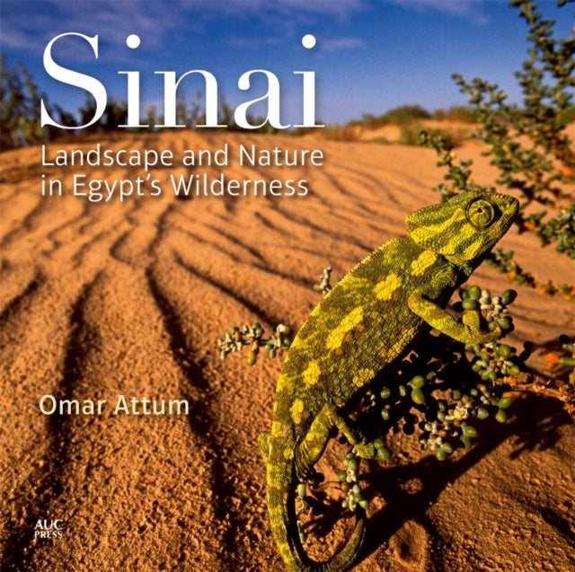 Book cover of: Sinai. By: Omar Attum