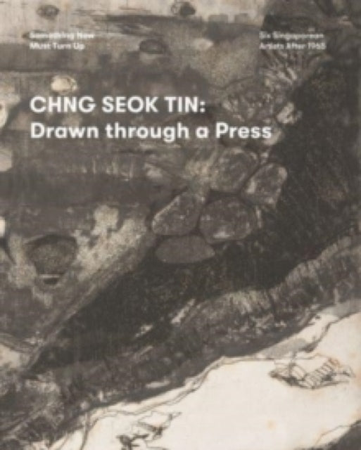 Book cover of: Chng Seok Tin. By: Xin Zhuang