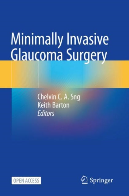 Book cover of: Minimally Invasive Glaucoma Surgery. By: Chelvin C. A. Sng