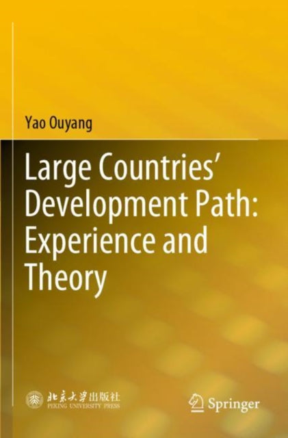 Book cover of: Large Countries’ Development Path: Experience and Theory
