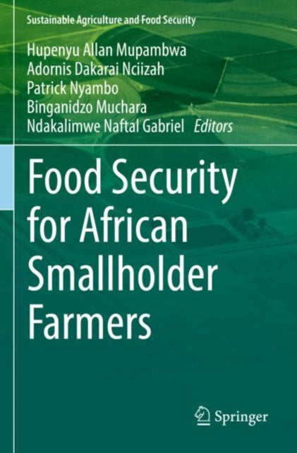 Book cover of: Food Security for African Smallholder Farmers
