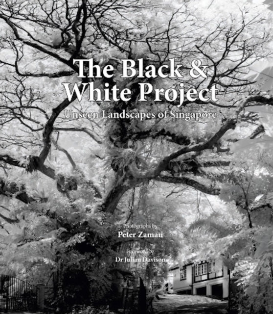 Book cover of: Black & White Project