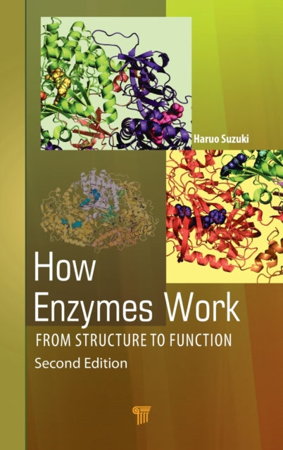Book cover of: How Enzymes Work. By: Haruo Suzuki