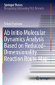 Book cover of: Ab Initio Molecular Dynamics Analysis Based on Reduced-Dimensionality Reaction Route Map. By: Takuro Tsutsumi