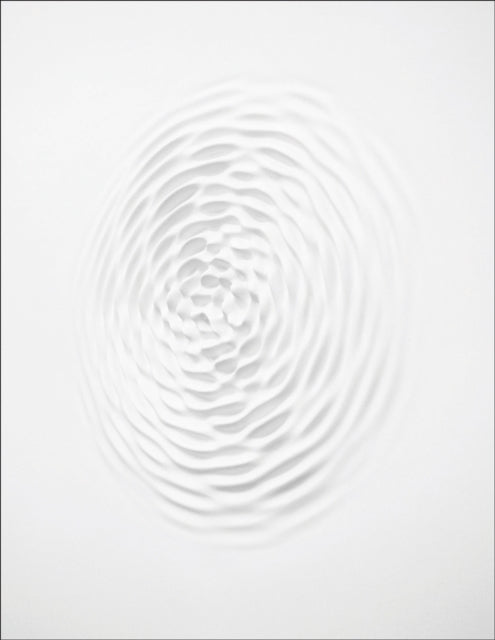 Book cover of: Loris Cecchini. By: Loris Cecchini