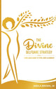 Book cover of: Divine SelfQare Strategy
