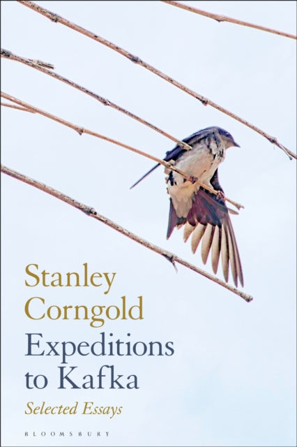 Book cover of: Expeditions to Kafka. By: Stanley Corngold