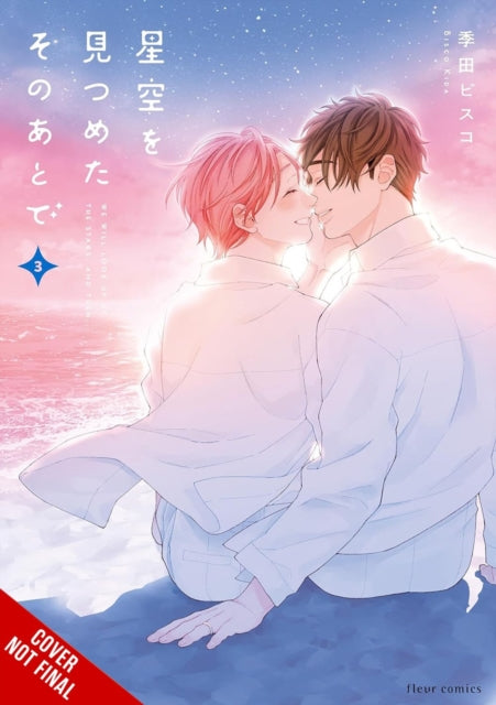 Book cover of: After We Gazed at the Starry Sky, Vol. 3
