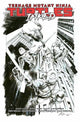 Book cover of: Teenage Mutant Ninja Turtles, Vol. 1: Return to New York