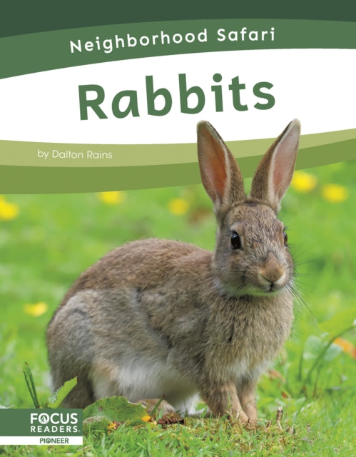Book cover of: Rabbits. By: Dalton Rains